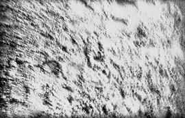 HRO 01 538