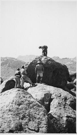 HRO 03 116P