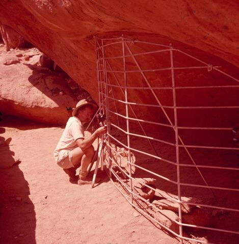 Open original Digital object