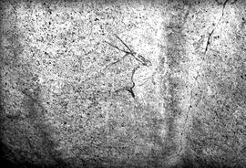 HRO 01 575