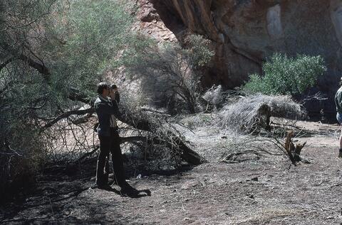 Open original Digital object