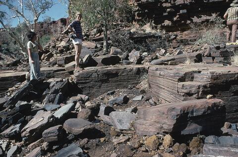 Open original Digital object