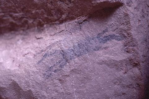 Open original Digitaal object