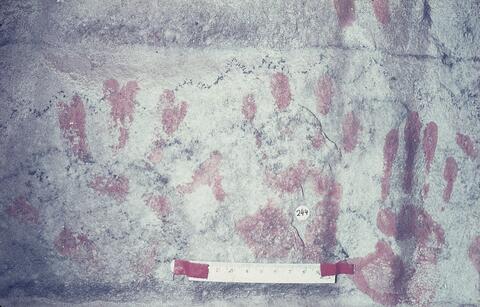 Open original Digital object