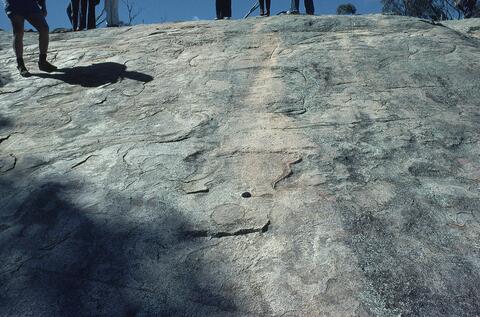 Open original Digital object