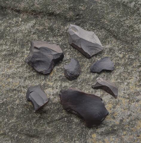 Open original Digital object