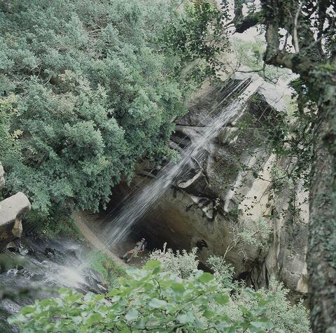 Open original Digital object