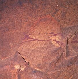 NMSA JHH 01 379H