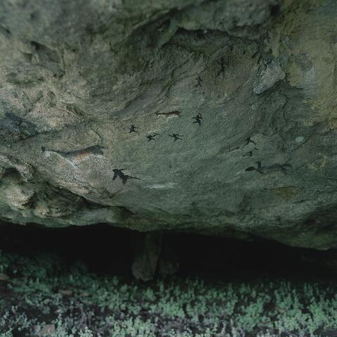 Open original Digital object