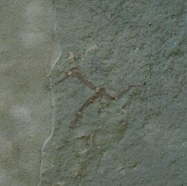 JHH 01 661H
