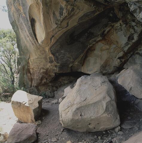 Open original Digital object