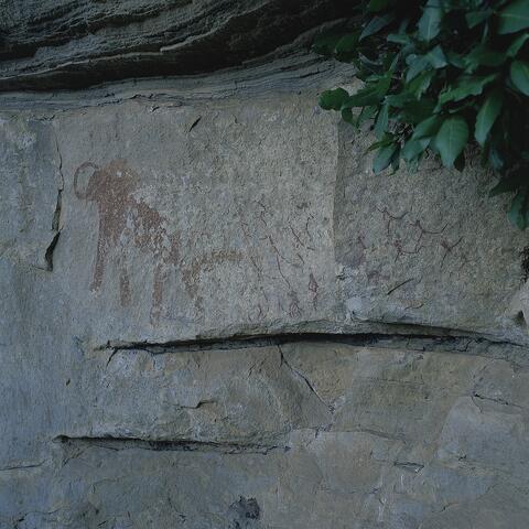 Open original Digital object