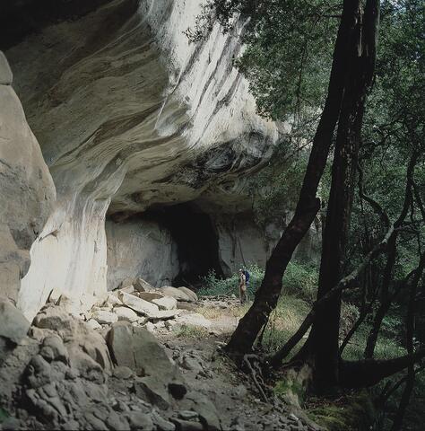 Open original Digital object