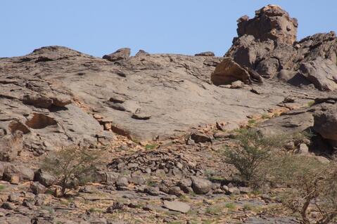 Open original Digitaal object