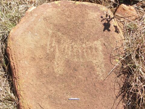 Open original Digital object