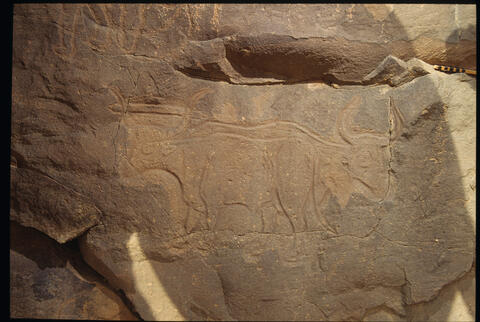 Open original Digital object