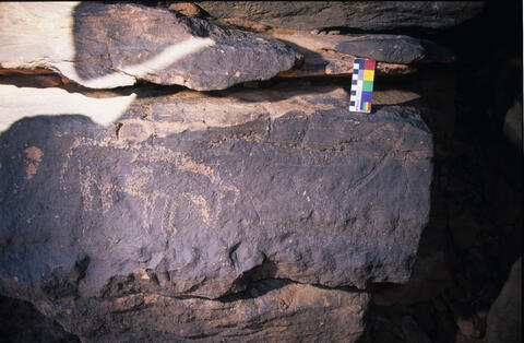 Open original Digital object