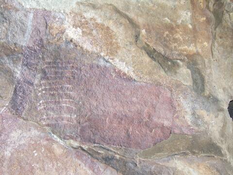 Open original Digitaal object