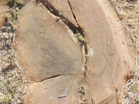 Open original Digital object