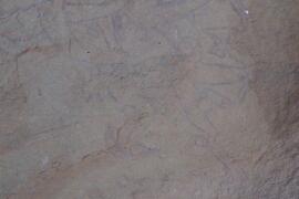 LQC ALG TJN3 624D