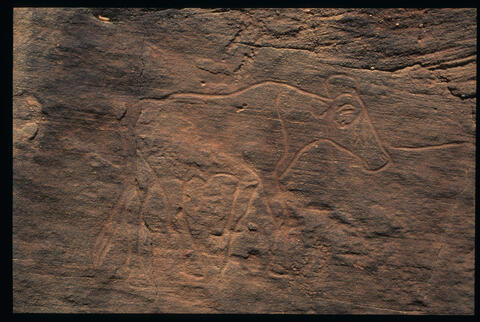 Open original Digital object