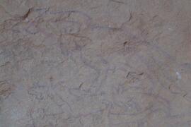 LQC ALG TJN3 626D