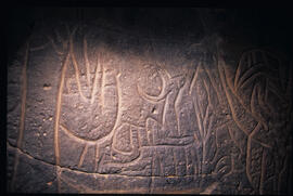 LQC LBY TIL12 142D