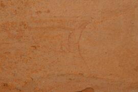 LQC ALG TJN9 229D