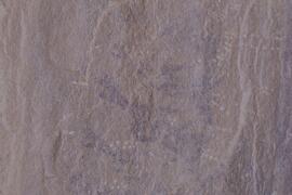 LQC ALG TJN3 542D