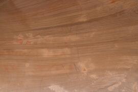 LQC ALG TJN3 101D
