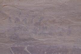 LQC ALG TJN3 537D