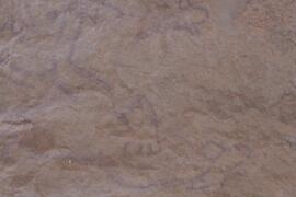 LQC ALG TJN3 585D