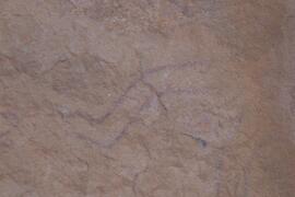 LQC ALG TJN3 577D