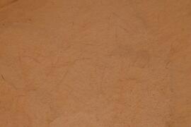 LQC ALG TJN5 681D