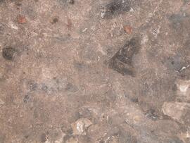LQC 01 146D