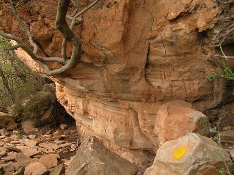 Open original Digital object