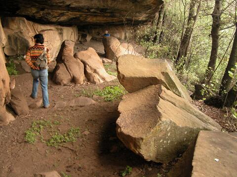 Open original Digital object