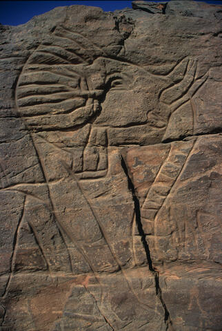 Open original Digital object