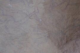 LQC ALG TJN3 622D