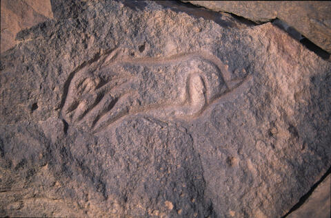 Open original Digital object