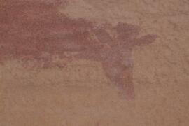 LQC ALG TJN4 54D