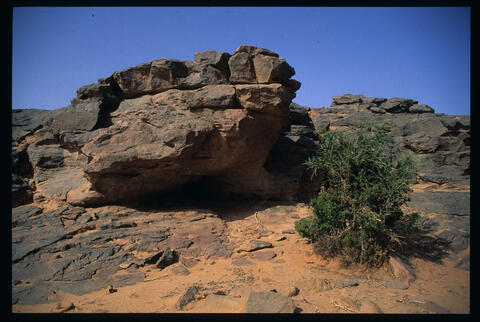 Open original Digital object