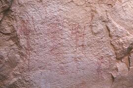 RARI LEE RSA UTY1 21