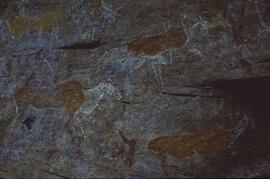 RARI LEE RSA BEN1 36