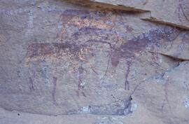 RARI LEE RSA FLO3 40