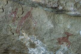 RARI LEE RSA BEN1 37