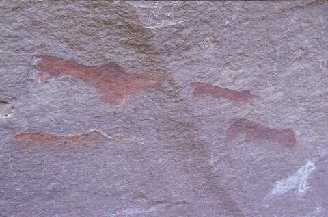 Open original Digitaal object