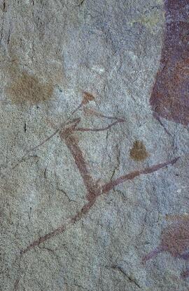 RARI LEE RSA BEN1 45