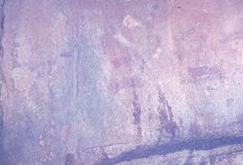 RARI LEE RSA PTR2 26