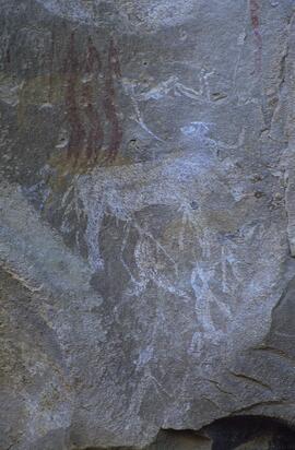 RARI LEE RSA ALA4 36